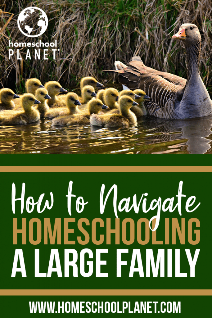 How to Navigate Homeschooling a Large Family
